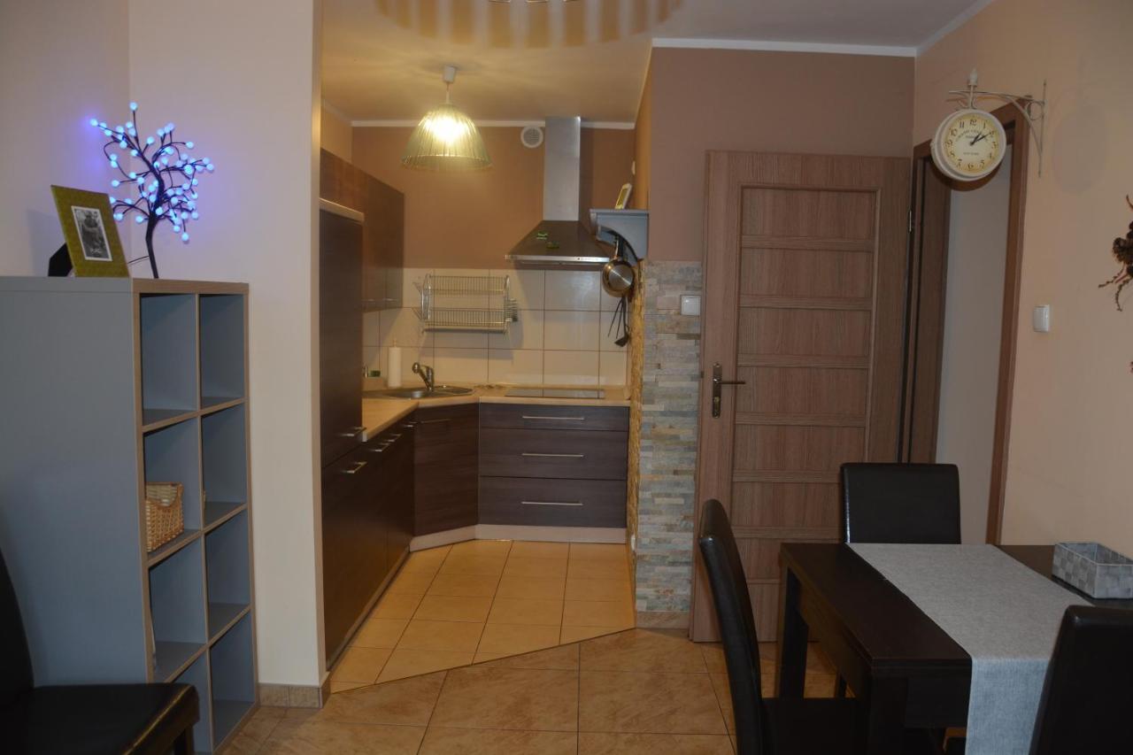 Апартаменты Apartament Czekoladowy Карпач Экстерьер фото